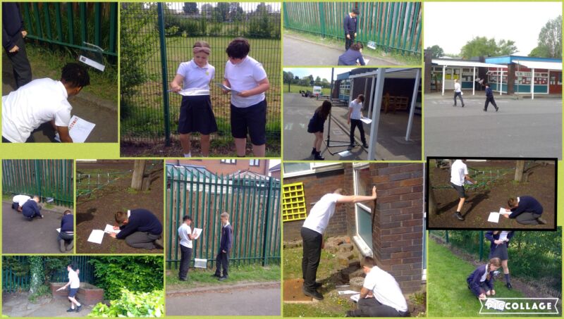Image for the Tweet beginning: More outdoor learning for Y6
