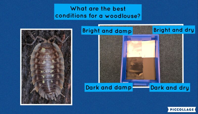 Image for the Tweet beginning: Yea 2 have been investigation