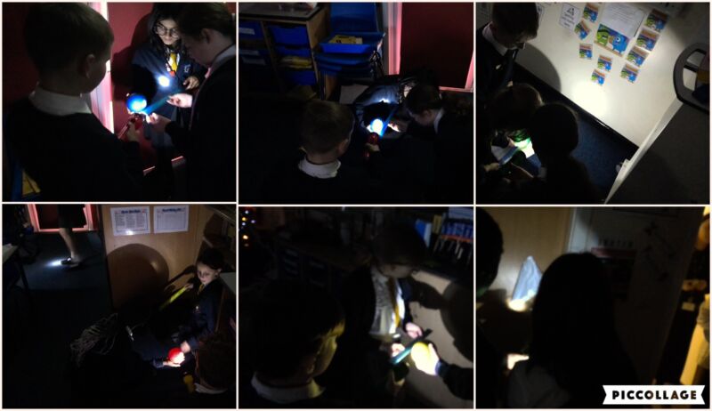 Image for the Tweet beginning: Y6 have been busy investigating